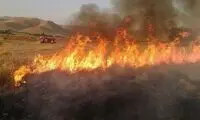 ته سیگار ۴ هکتار از مراتع سمیرم را سوزاند