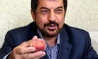 تصویری جالب از محمود شهریاری در حال ورزش سوژه شد