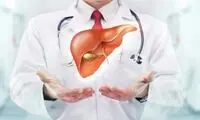 پاکسازی کبد با استفاده از باکتری های مفید روده چگونه انجام می شود؟