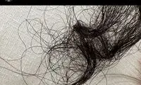 دعوا بر سر آنجلینا جولی و موهای دختران در توئیتر