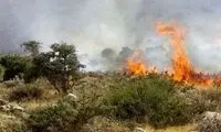 جنگل الیت و مردم ایران چشم‌انتظار یک قطره باران