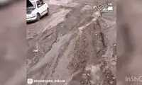 کمک گردشگر فرانسوی به سیل‌زدگان در رفسنجان