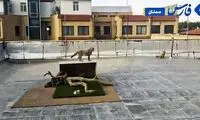 فاجعه سازمان محیط‌زیست در نگهداری توران و آذر