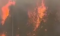 هشدار تخلیه فوری در واشنگتن صادر شد