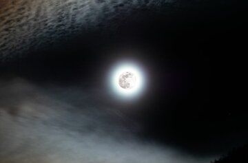 «ماه گرگ» ظاهر شد