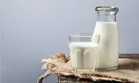 جوشاندن شیر مفید است یا مضر؟