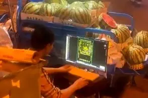 این فروشنده هندوانه، طراح تراشه‌های الکترونیکی است!