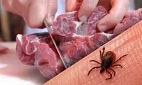 فوت تلخ یک بیمار با علائم کنگو در این شهر از ایران
