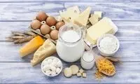 تاثیر مصرف لبنیات بر التهاب دستگاه گوارش