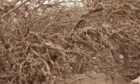 تصویری از پدیده نادر بارش خاکستر در روسیه! 