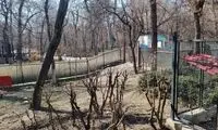 توضیح شهرداری تهران درباره جنجال به پا شده در قیطریه