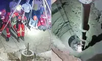 کبوتر، نوجوان 13ساله را تا یک قدمی مرگ برد