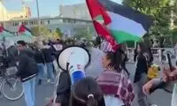 بیسیمچی‌مدیا: پهلوی‌چی‌های کثافت قهوه‌ای شدند