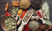 ۱۰ گیاه دارویی که عفونت را از بدن دور می‌کند
