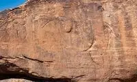 کشف جدید در جایی که کسی انتظارش را نداشت