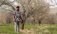 مژدگانی 10 میلیاردی برای یابنده خلبان آمریکایی 