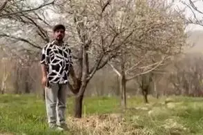 مژدگانی 10 میلیاردی برای یابنده خلبان آمریکایی 