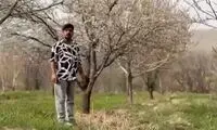 مژدگانی 10 میلیاردی برای یابنده خلبان آمریکایی 