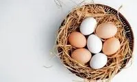 زرده تخم مرغ برای سالمندان مضر است؟