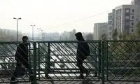 راهنمای خرید 7 خوراکی برای نبرد با آلودگی هوا