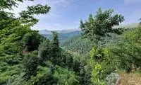 تصویری از تغییر چهره ترسناک جنگل‌های هیرکانی