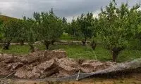 خسارت 2هزار میلیارد تومانی تگرگ به باغات دماوند