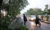 هشدار وزش باد و بارش باران در راه پایتخت