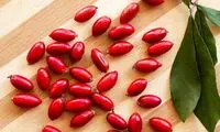 میوه معجزه آسایی که ترش را به شیرین تبدیل می‌کند!