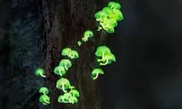 دهانتان از دیدن این تصاویر باز می‌ماند!