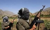 حمله تروریستیِ خونین به اهالی روستایی در مریوان 