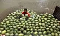 حرکت جالب و خنده‌دار یک هندوانه‌فروش شیرازی
