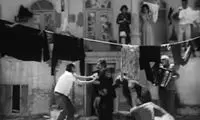 جایی که صاحبخانه همه‌کاره زندگی مستاجر بود!