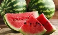 نحوه پرورش هندوانه شیرین در منزل