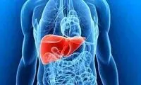 بدن روزانه چه میزان پروتئین نیاز دارد؟