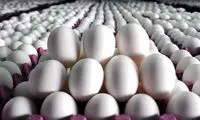 جدیدترین قیمت تخم مرغ اعلام شد 
