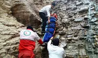 مرگ مشکوک یک مدیر ارشد پتروشیمی