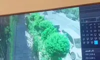 ویدئو تکان‌دهنده از خفت‌شدن یک دختر در ولنجک