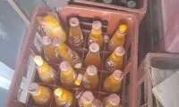 تصاویری از فاجعه سرما و یخبندان در تربت‌جام