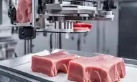 آغاز تولید گوشت مصنوعی در ایران!