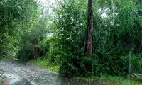ثبت بارش ۷۹ میلی متری در تالش گیلان