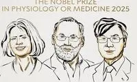 برندگان نوبل پزشکی ۲۰۲۵ معرفی شدند