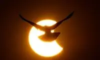 اتفاقات عجیبی که هنگام خوشیدگرفتگی رخ می‌دهد