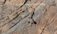 وقتی نمی‌خواهی قبول کنی که مرگ حق است