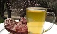 «گانودرما» قارچی با خواص درمانی فراوان