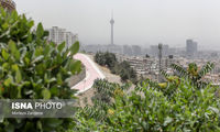 اداره هواشناسی: تهران، میزبان گرد و خاک!