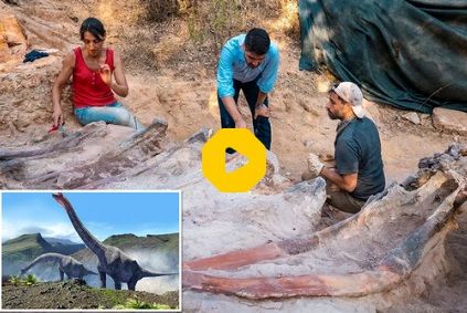 بقایای بزرگترین دایناسور کشف شده اروپا