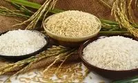 گران‌فروشی عجیب برنج در فروشگاه‌های اینترنتی 