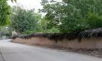 اقدام خلاقانه یک انارفروش در شیراز جلب توجه کرد
