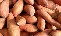 اگر هر روز سیب‌زمینی بخورید چه اتفاقی برای‌تان می‌افتد؟