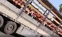 ماجرای جابه‌جایی خطرناک دانش‌آموزان با کامیون در جهرم!